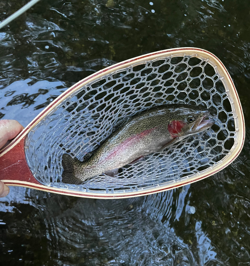 Croton Watershed Fishing Report – Tagged Fly Fishing – Anglers Den