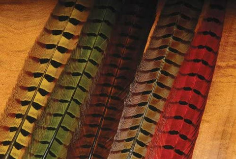 WAPSI RINGNECK PHEASANT TAIL FEATHERS (1PAIR)